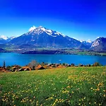 Thun Alps Scenic Views And Concierge By Swisshut Chalet