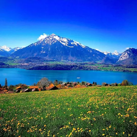 Concierge, Thun/alps Scenic Views By Swisshut Alpehytte