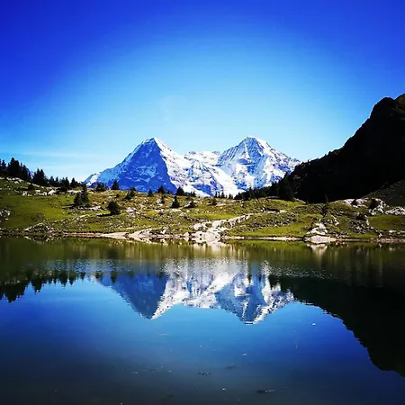Chalet Swisshut Stunning Views Alps - Antara