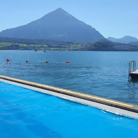 Chalet Swisshut Stunning Views Alps - Antara Sigriswil