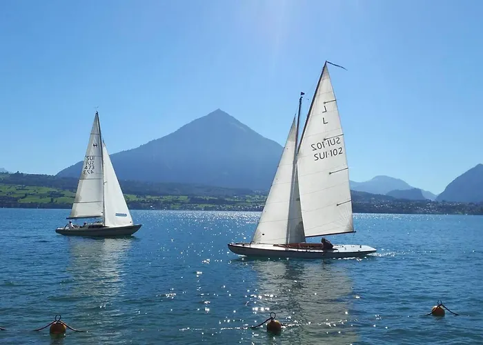 Chalet Thun Alps Scenic Views And Concierge By Swisshut *