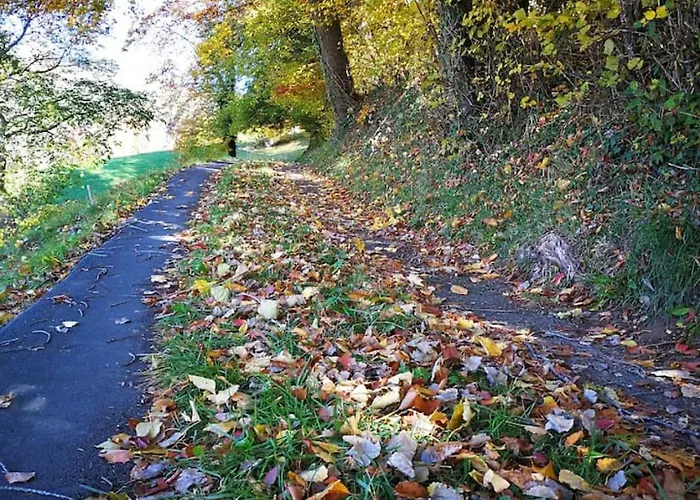 Thun Alps Scenic Views And Concierge By Swisshut Alpehytte