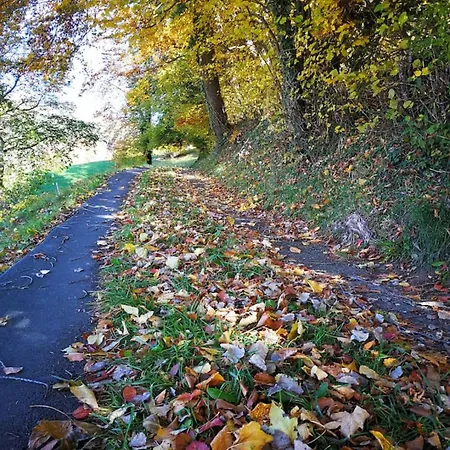 Lake Thun Alps Scenic Views And Concierge By Swisshut Chalet