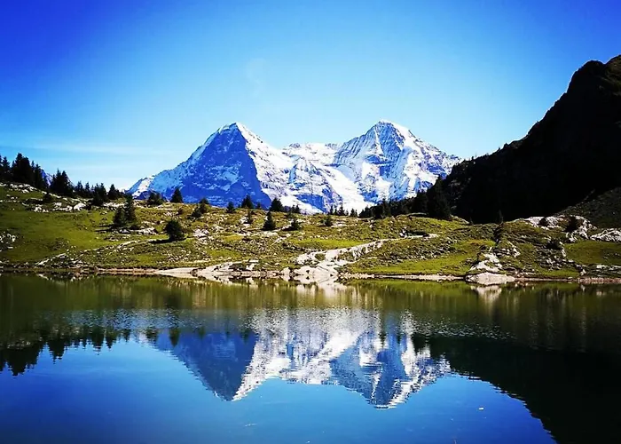 Domek alpejski Thun Alps Scenic Views And Concierge By Swisshut