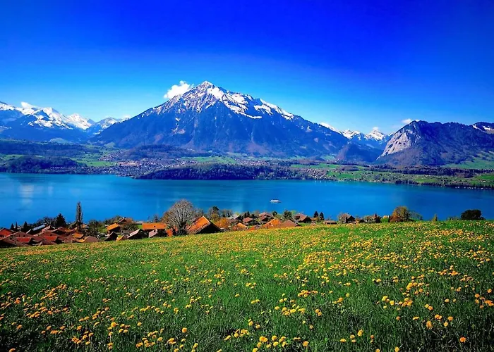 Thun Alps Scenic Views And Concierge By Swisshut Alpesi faház